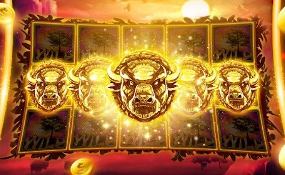 slot oyunları